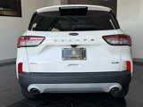 Used 2020 Ford Escape SEL image 5