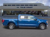 Certified 2022 Ford F150 XLT w/ Equipment Group 302A High image 2