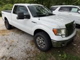 Used 2012 Ford F150 XLT w/ XLT Chrome Pkg image 3