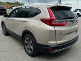 Used 2019 Honda CR-V EX image 5