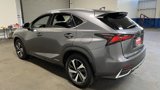 Used 2020 Lexus NX 300h AWD w/ Premium Package image 5