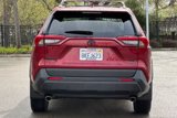 Certified 2019 Toyota RAV4 XLE Premium image 5
