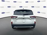 Certified 2020 Ford Escape SE image 3