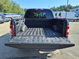 Used 2019 Ford F150 XLT w/ Equipment Group 302A Luxury image 6