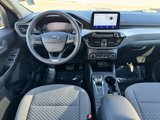 Used 2020 Ford Escape SE image 5