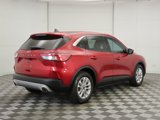 Used 2021 Ford Escape SE w/ Convenience Package image 5