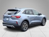 Used 2022 Ford Escape SEL image 4