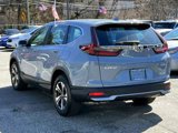 Certified 2022 Honda CR-V Special Edition image 6