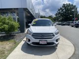 Certified 2019 Ford Escape SE image 3