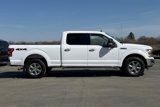 Used 2019 Ford F150 XLT w/ Equipment Group 302A Luxury image 3