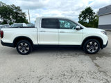 Used 2019 Honda Ridgeline RTL-E image 4