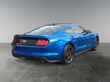 Used 2021 Ford Mustang Premium image 5