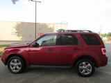 Used 2011 Ford Escape XLT w/ Cargo Pkg image 4
