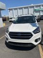 Used 2019 Ford Escape SE image 3