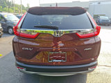 Used 2019 Honda CR-V EX image 5
