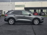 Used 2022 Ford Escape SE w/ Cold Weather Package image 3