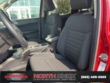 Used 2021 Ford Ranger XLT w/ Equipment Group 301A Mid image 4