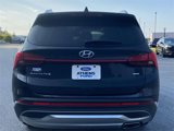 Used 2023 Hyundai Santa Fe SEL w/ Premium Package image 4