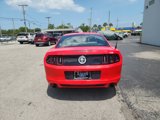Used 2014 Ford Mustang Coupe w/ Equipment Group 102A image 4