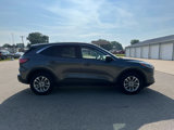 Used 2022 Ford Escape SE w/ Convenience Package image 5