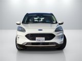 Used 2020 Ford Escape Titanium image 3