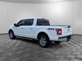 Used 2018 Ford F150 XLT w/ Equipment Group 302A Luxury image 3