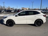 Certified 2024 Ford Escape ST-Line Elite w/ Premium Technology Package image 4