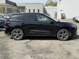 Used 2024 Ford Escape ST-Line image 4
