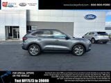 New 2025 Ford Escape ST-Line w/ Tech Pack #1 image 3