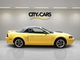 Used 2002 Ford Mustang GT image 6