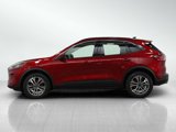 Used 2020 Ford Escape SEL image 2