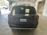 New 2025 Ford Escape Active w/ Tech Pack #1 image 5