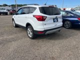 Used 2019 Ford Escape SEL image 4