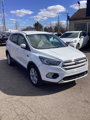 Used 2019 Ford Escape SE image 2