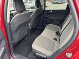 Used 2021 Ford Escape SE image 5