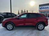 New 2025 Ford Escape Active w/ Cold Weather Package image 3