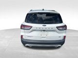 Used 2022 Ford Escape Titanium w/ Titanium Premium Package image 5