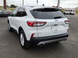 Used 2022 Ford Escape SE image 3