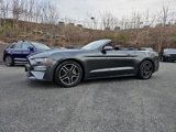 Used 2019 Ford Mustang Premium image 5