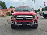 Used 2019 Ford F150 XLT w/ Equipment Group 302A Luxury image 3