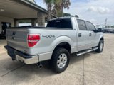 Used 2013 Ford F150 XLT w/ Luxury Equipment Group image 5