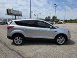 Used 2019 Ford Escape SE image 4