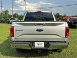 Used 2016 Ford F150 Lariat w/ Equipment Group 502A Luxury image 3