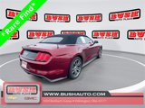 Used 2015 Ford Mustang GT Premium w/ Equipment Group 401A image 3