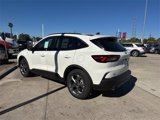 New 2025 Ford Escape ST-Line w/ Tech Pack #1 image 4