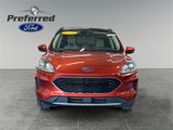 Used 2020 Ford Escape SE image 4