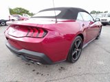 New 2025 Ford Mustang Convertible image 4