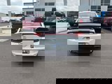 Used 2020 Dodge Charger SXT w/ Blacktop Package image 4