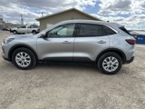 New 2024 Ford Escape Active w/ Tech Pack #2 image 6