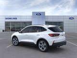 New 2025 Ford Escape ST-Line w/ Tech Pack #1 image 4
